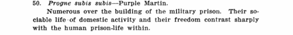 An excerpt from David C. Hilton's Notes on the Birds of the Fort Leavenworth Reservation, Kansas that reads: "50. Progne subis subis—Purple Martin. Numerous over the building of the military prison. Their social life of domestic activity and their freedom contrast sharply with the human prison-life within."